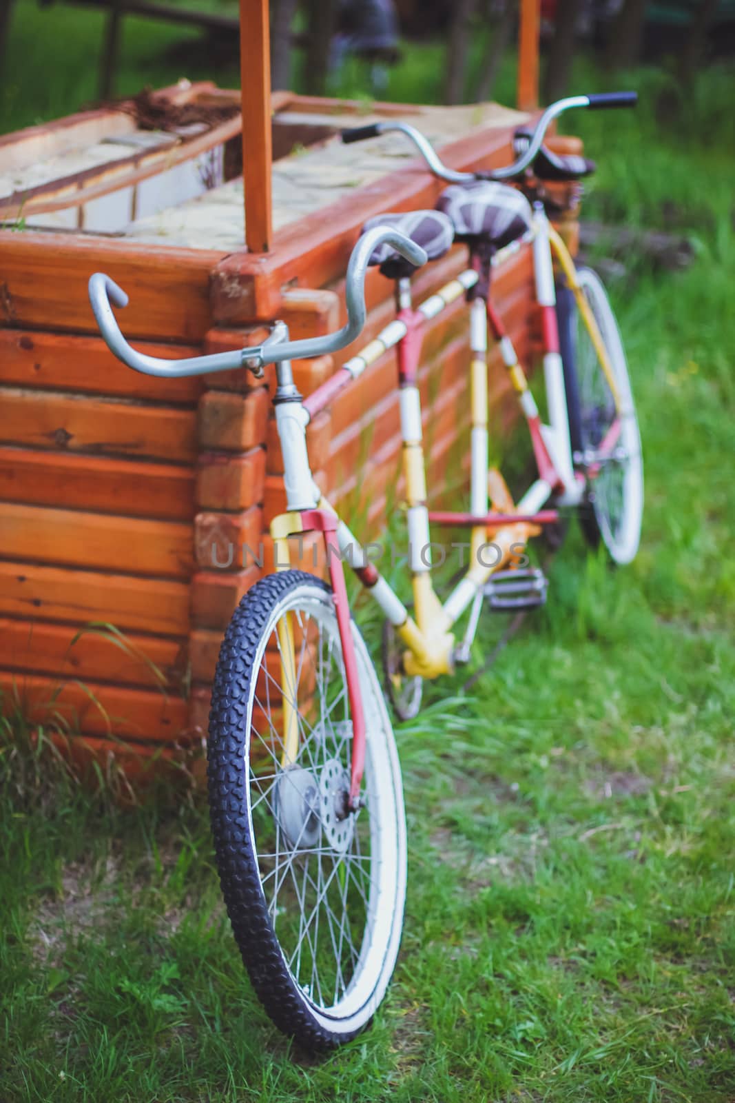 Bicycles for two passengers, the tandem on the green grass