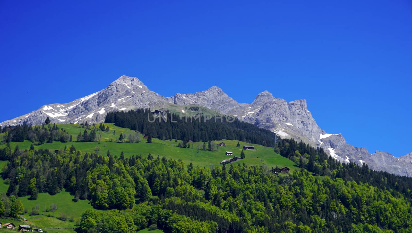 View of mountains and forest  Engelberg, Switzerland