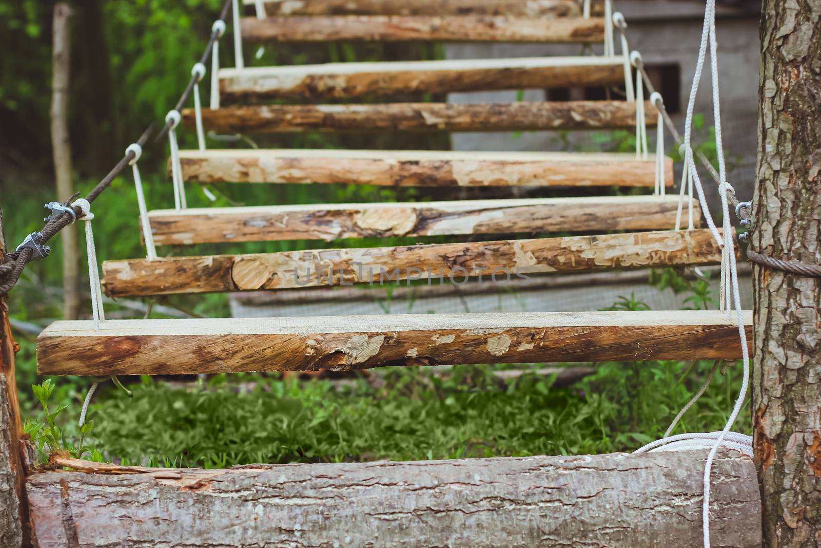 Wooden stairs in the green forest park with ropes
