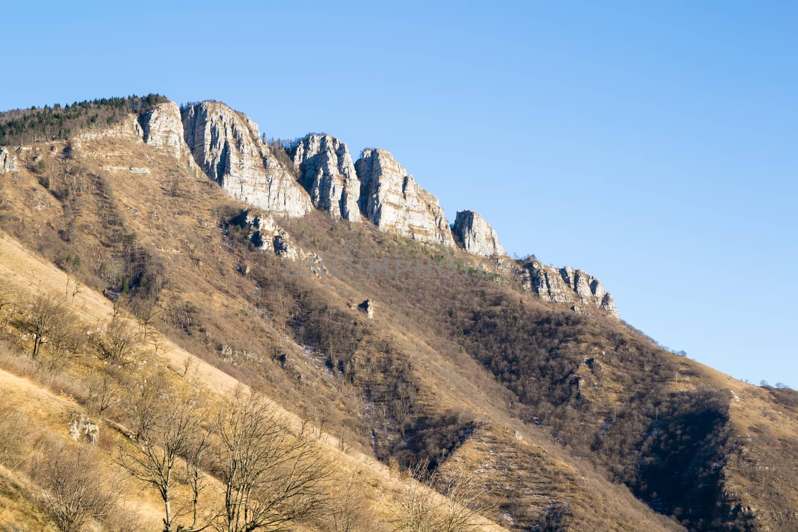 autumn mountains view