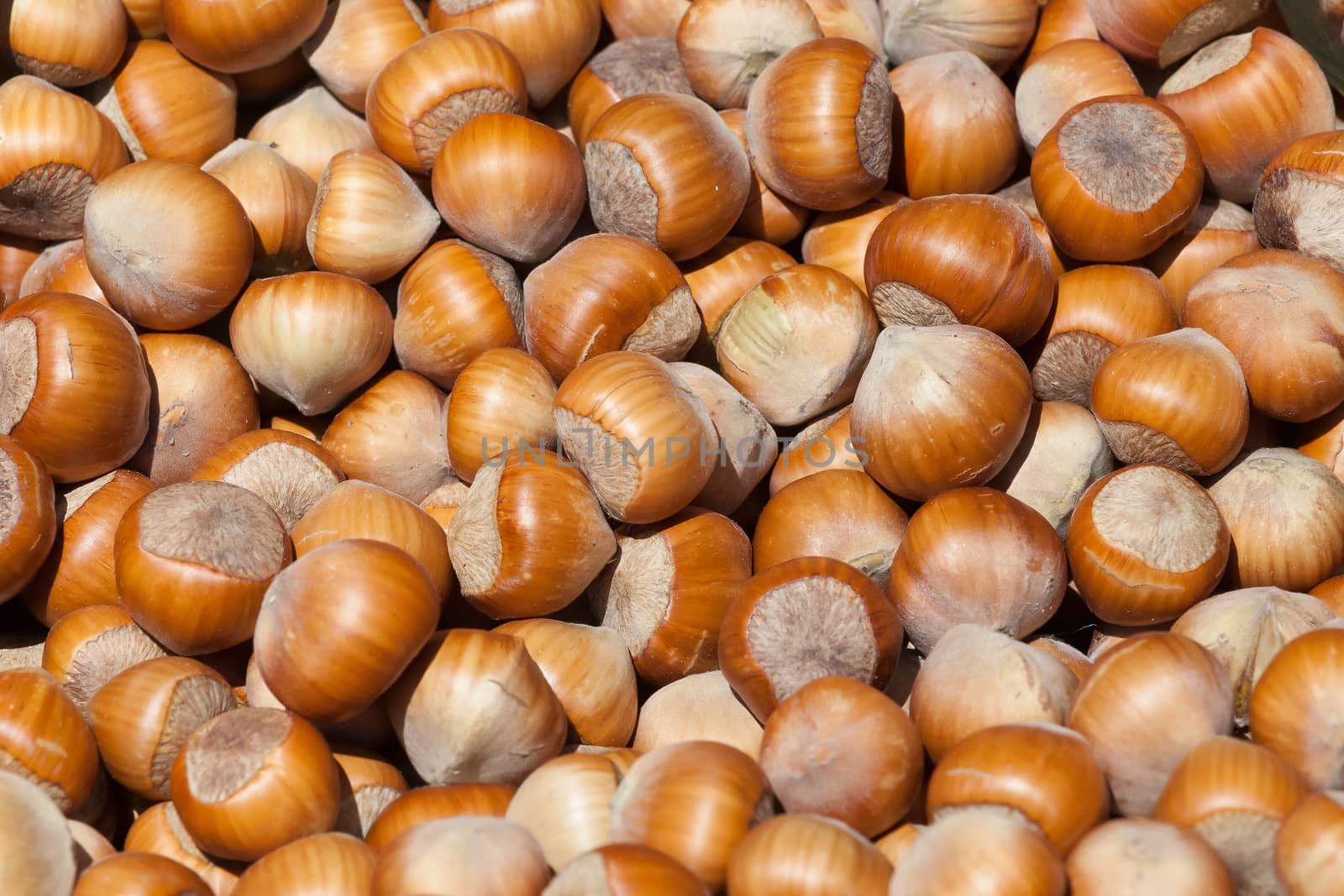 the background consisting of a set of small beautiful nuts
