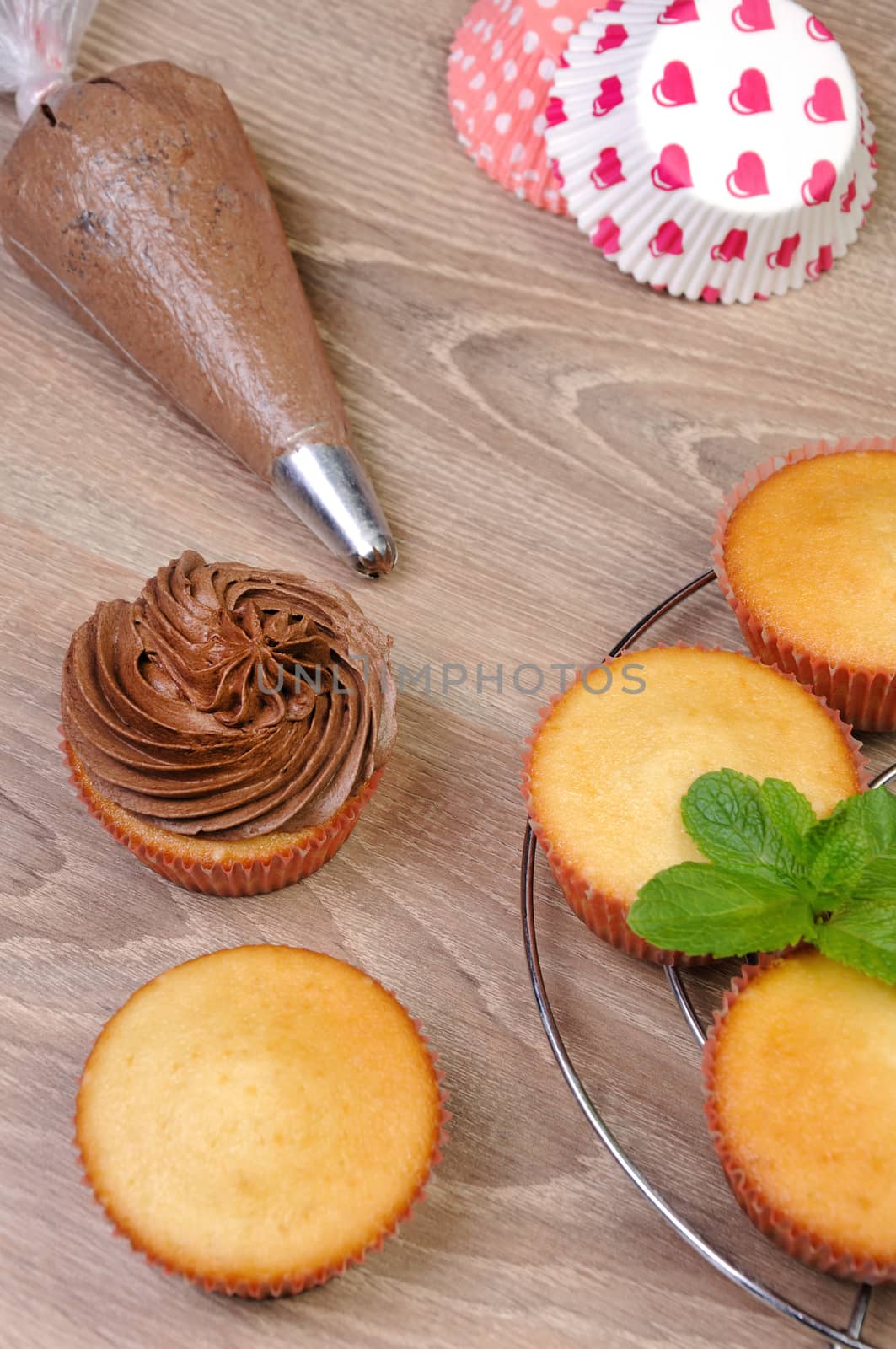 Decorating Chocolate Cupcakes with Frosting in a Pastry Bag