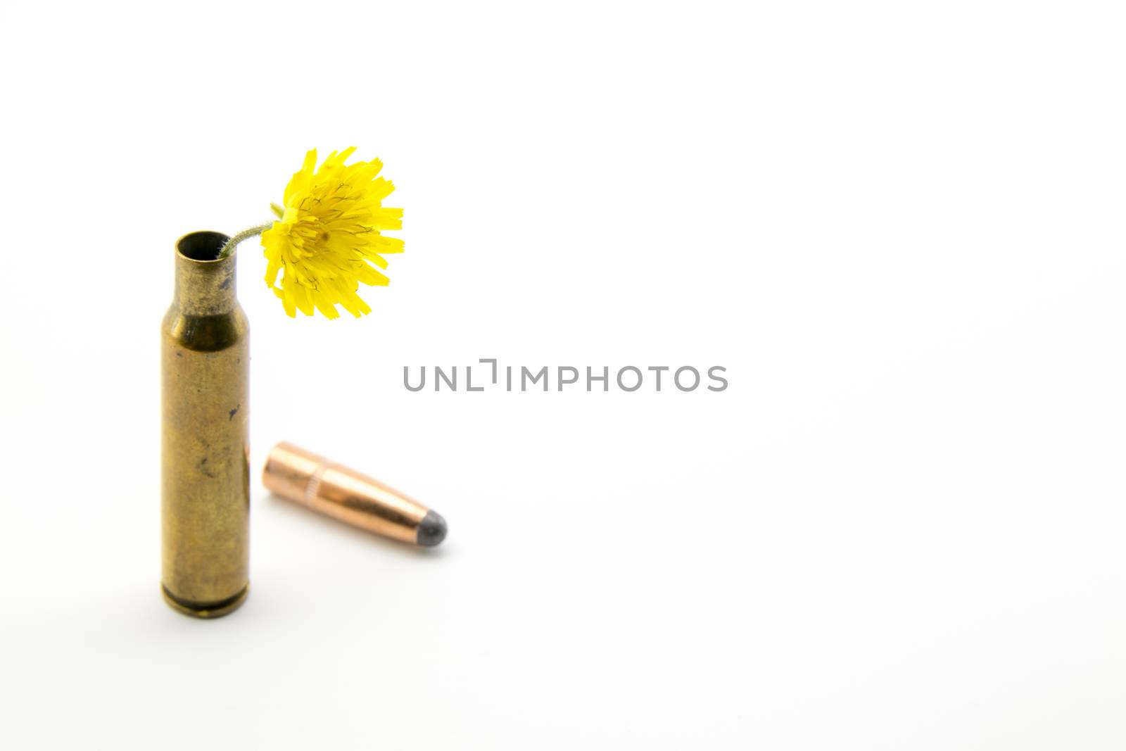 shotgun shell with yellow little flower