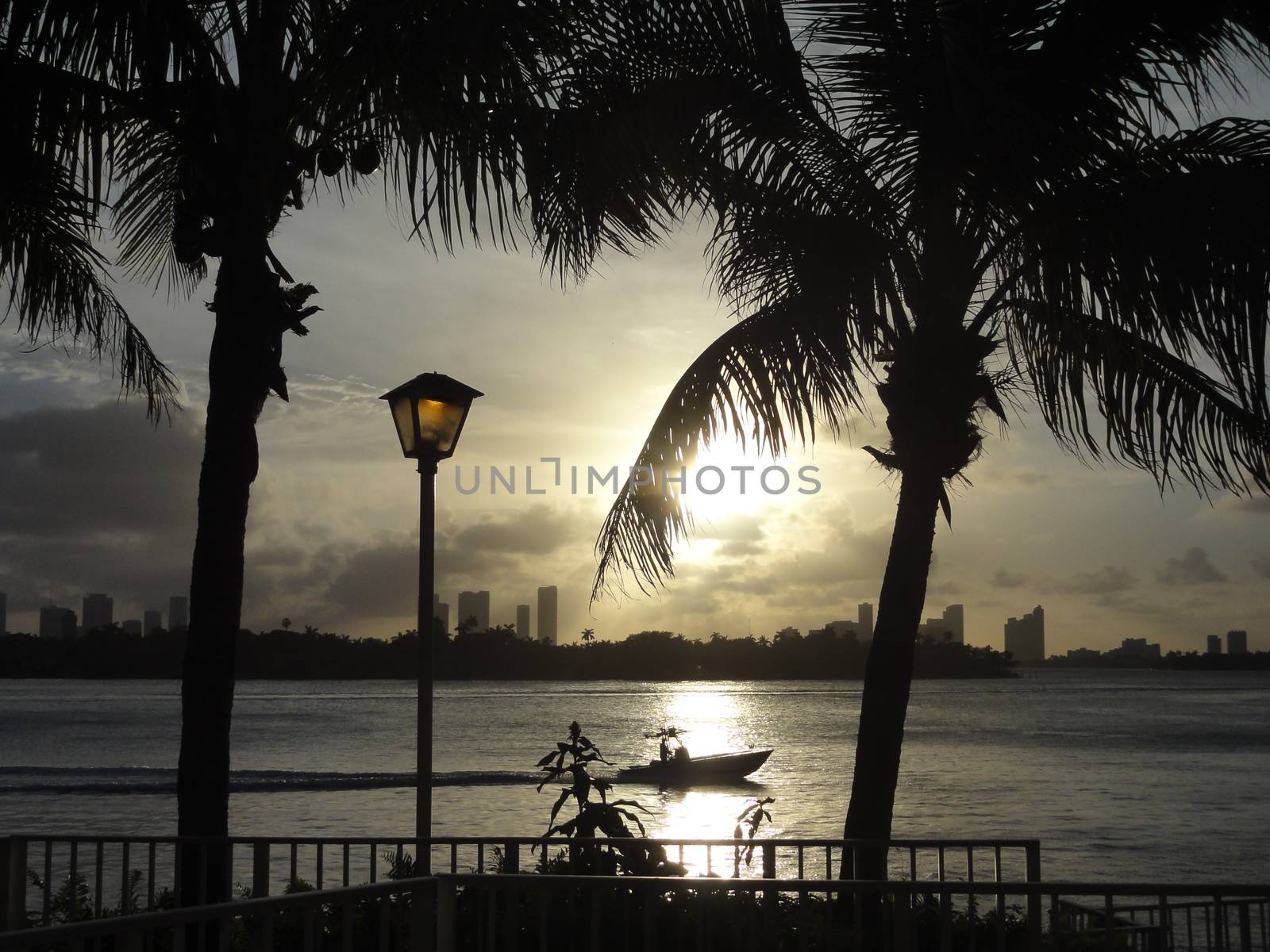 Miami backlight view at sunset