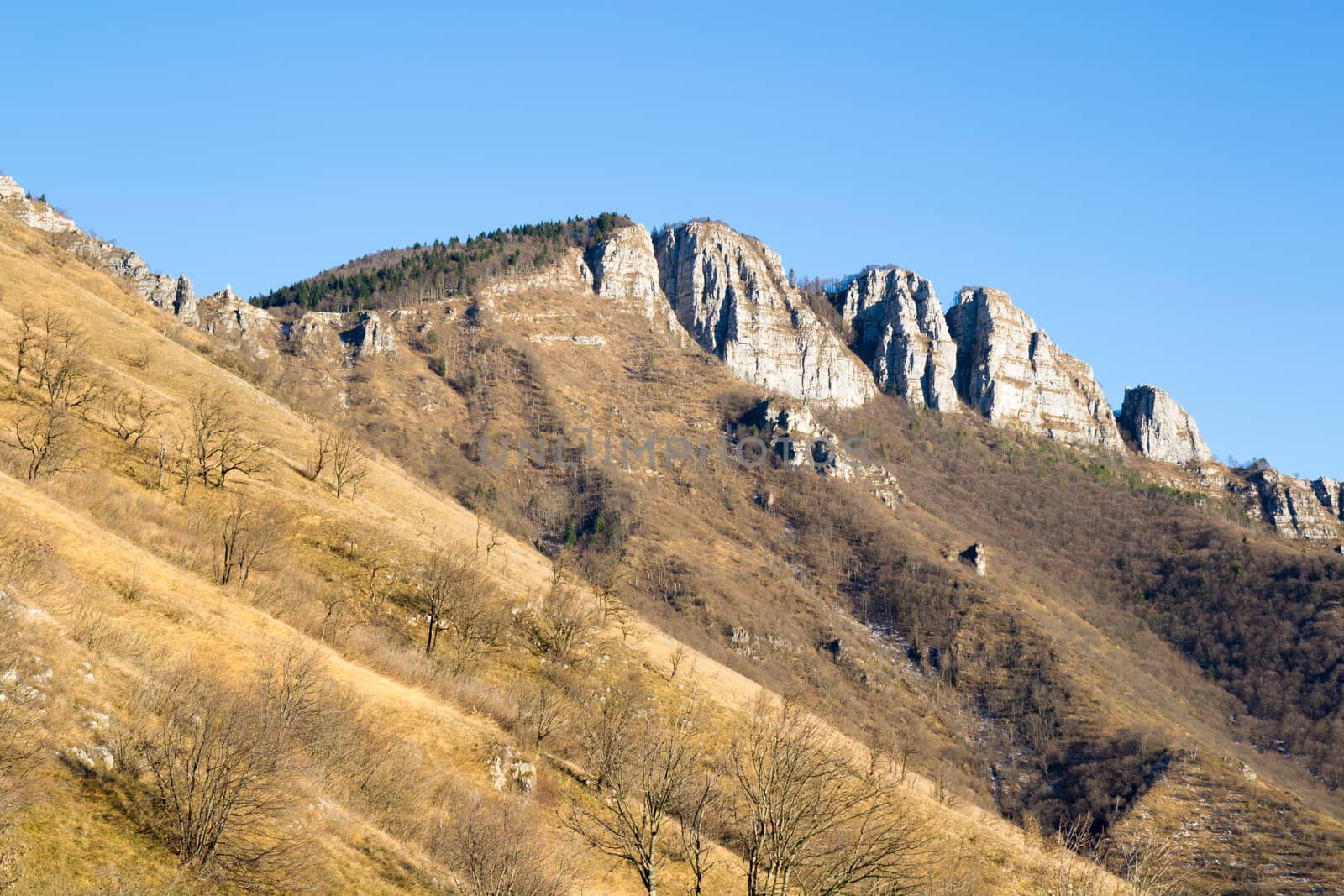 golden colors in autumn mountains view