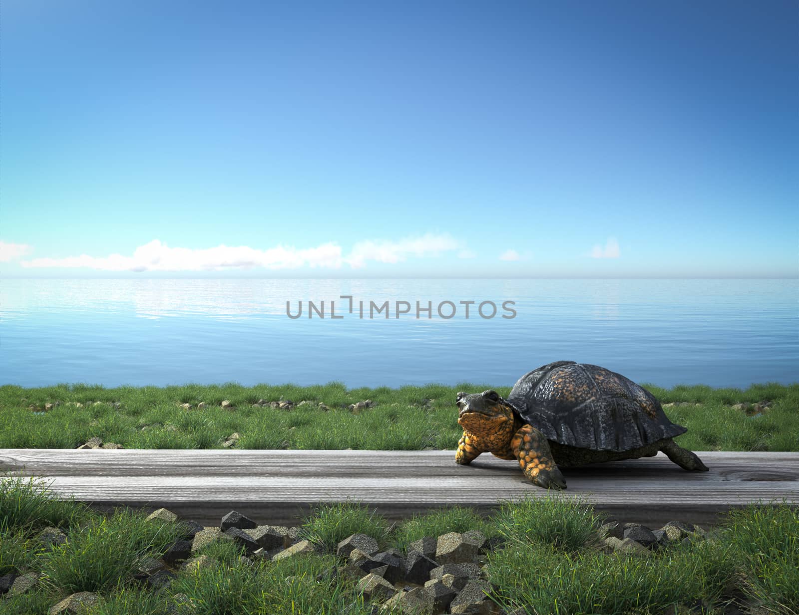 Small green turtle on the beach. Tourism concept background by denisgo