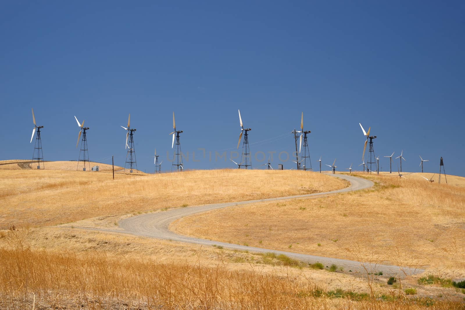 wind power turbine on golden grass hills