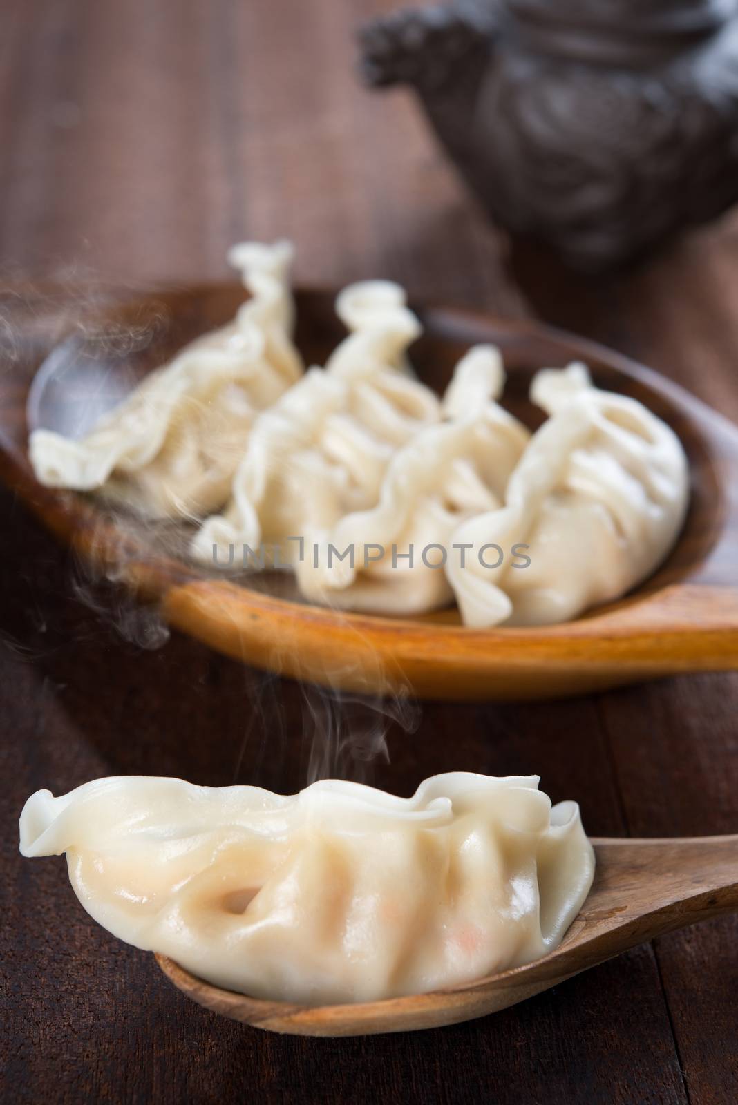 Fresh Steamed Dumpling by szefei