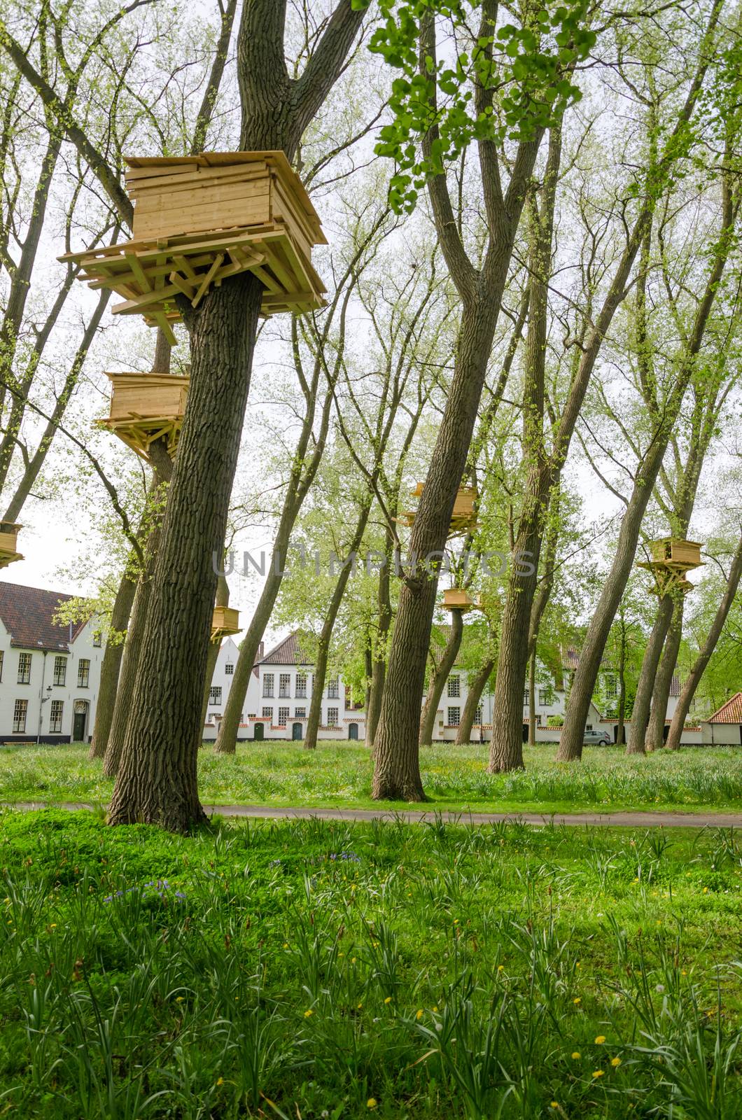 Tree Houses in the Beguinage (Begijnhof) Garden in Bruges, Belgium