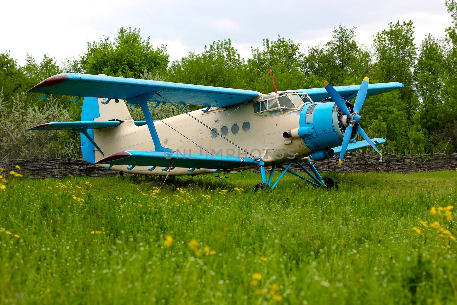 Old retro airplane on green grass field