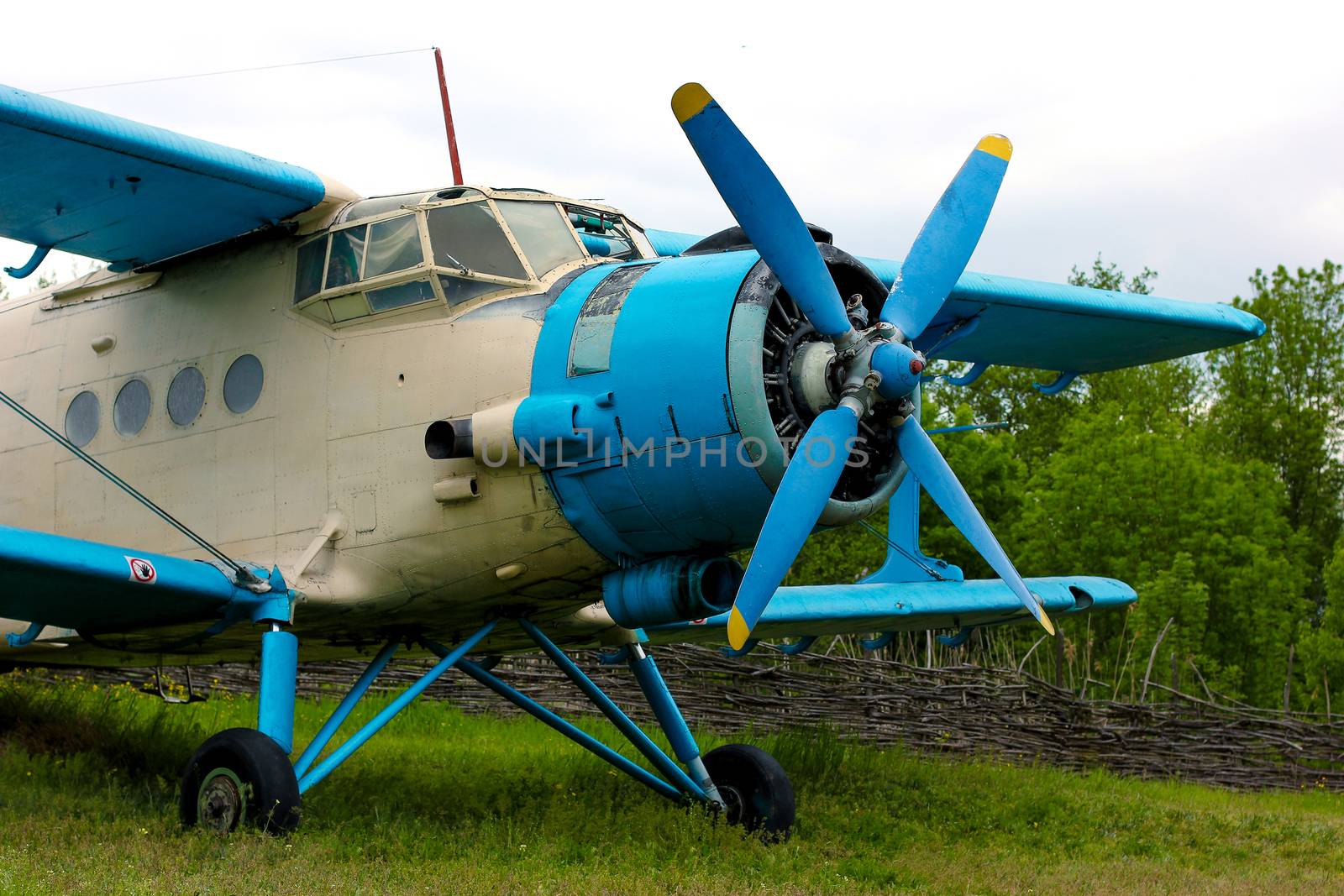Old retro airplane on green grass field
