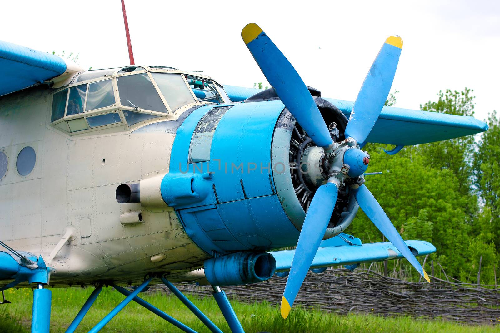 Old retro airplane on green grass field