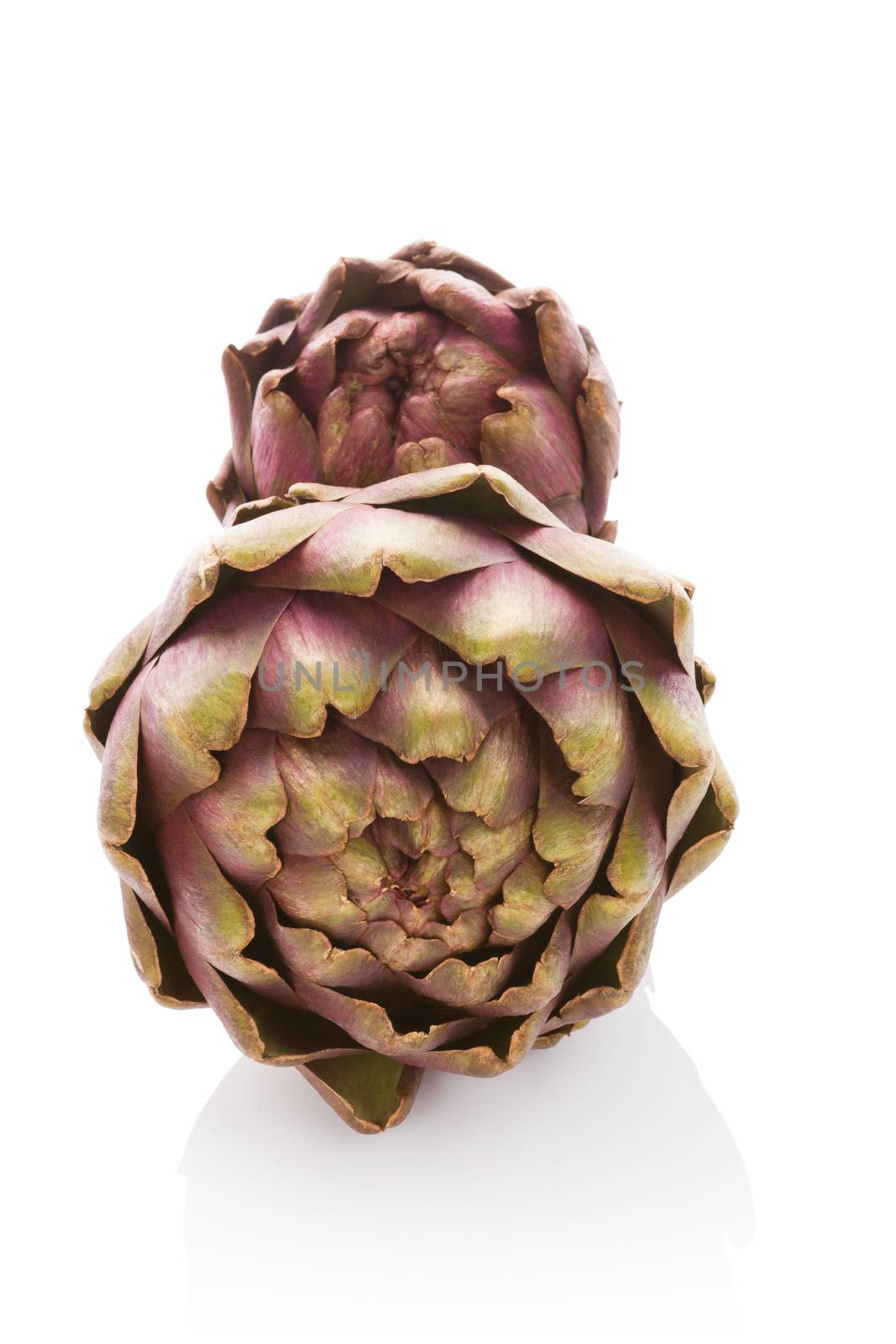 Artichoke isolated on white background. by eskymaks