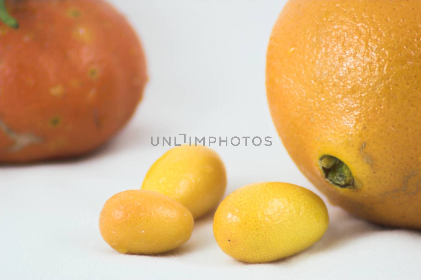 Citrus fruits on white background - healthy nutrition