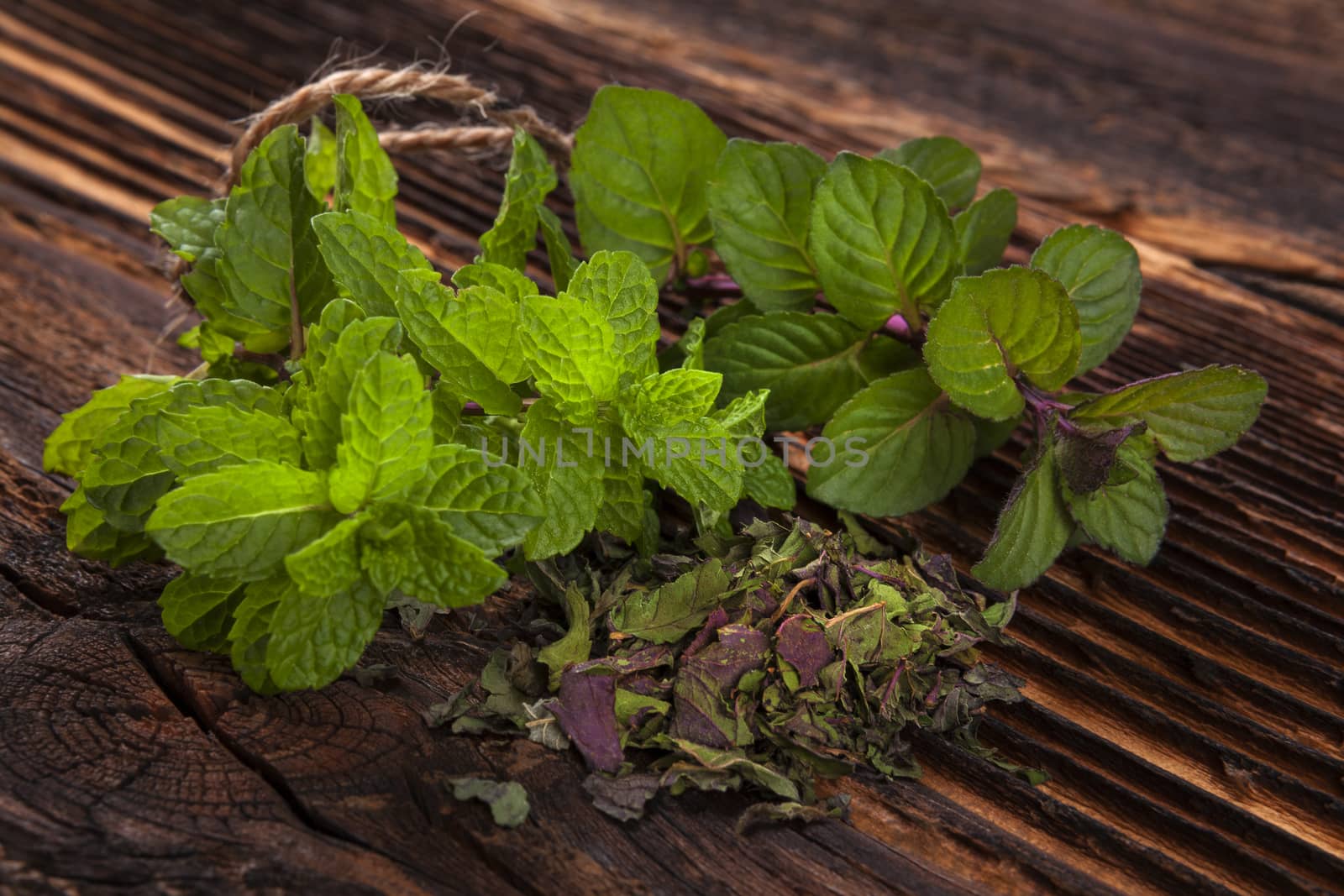 Aromatic culinary herbs, mint. by eskymaks