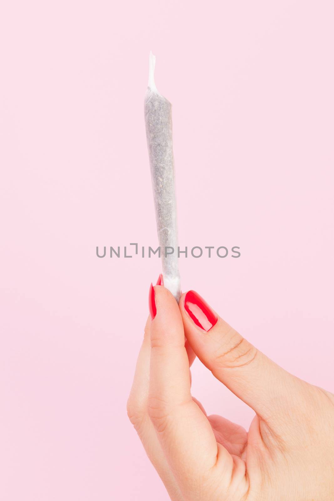 Female hand with red fingernails holding cannabis joint isolated on pink background. Female marijuana abuse.