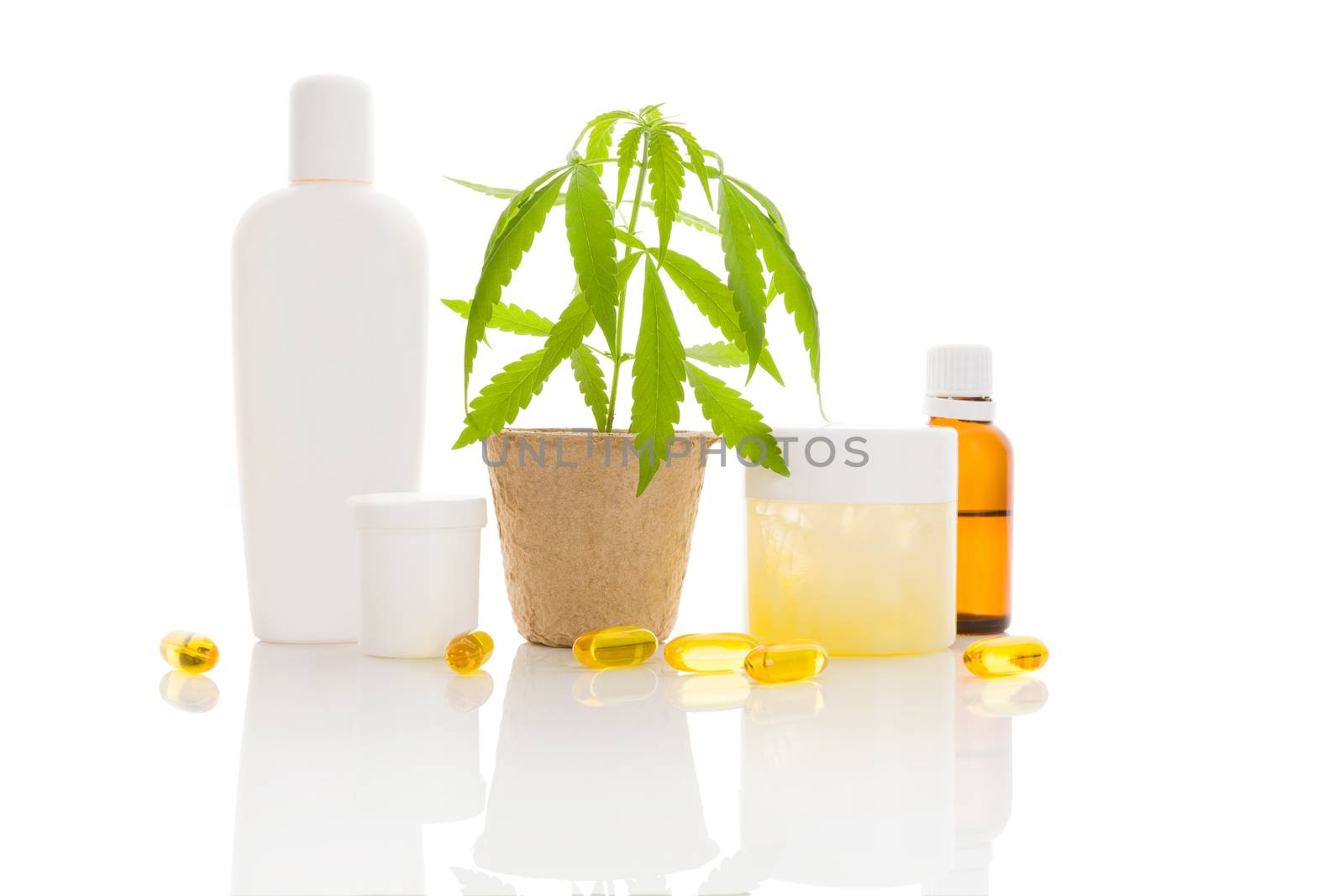 Hemp cosmetics. Moisturizer, cream, shampoo, oil and young cannabis plant in plant pot isolated on white background. Healthy natural ecological cosmetics.