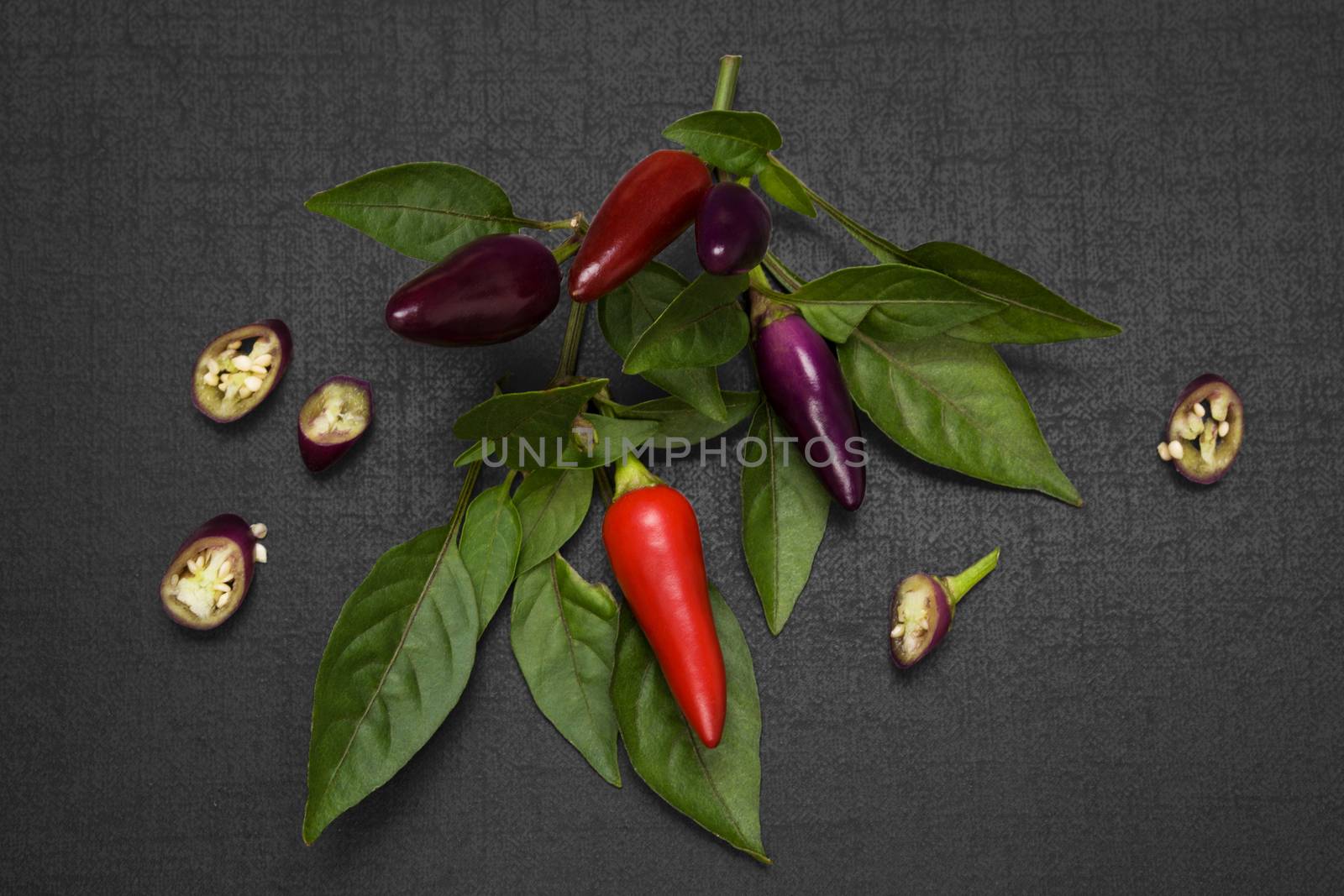 Chili pepper. by eskymaks