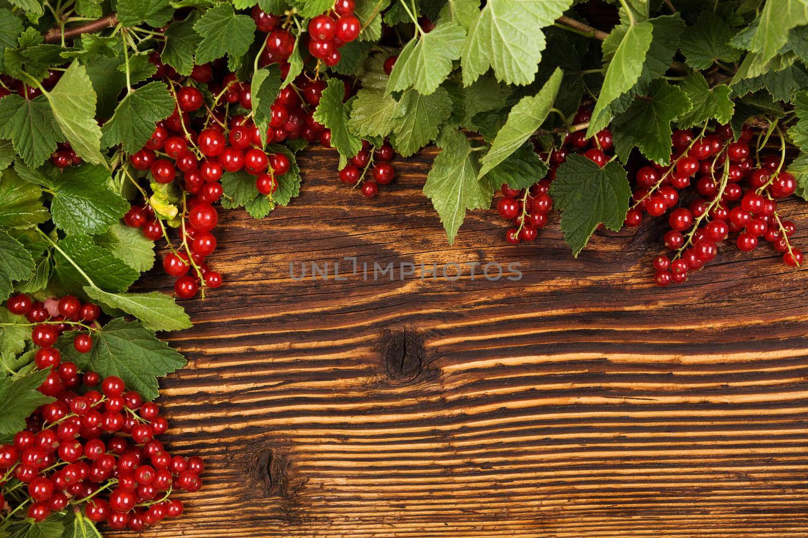 Red currant on wooden background. by eskymaks