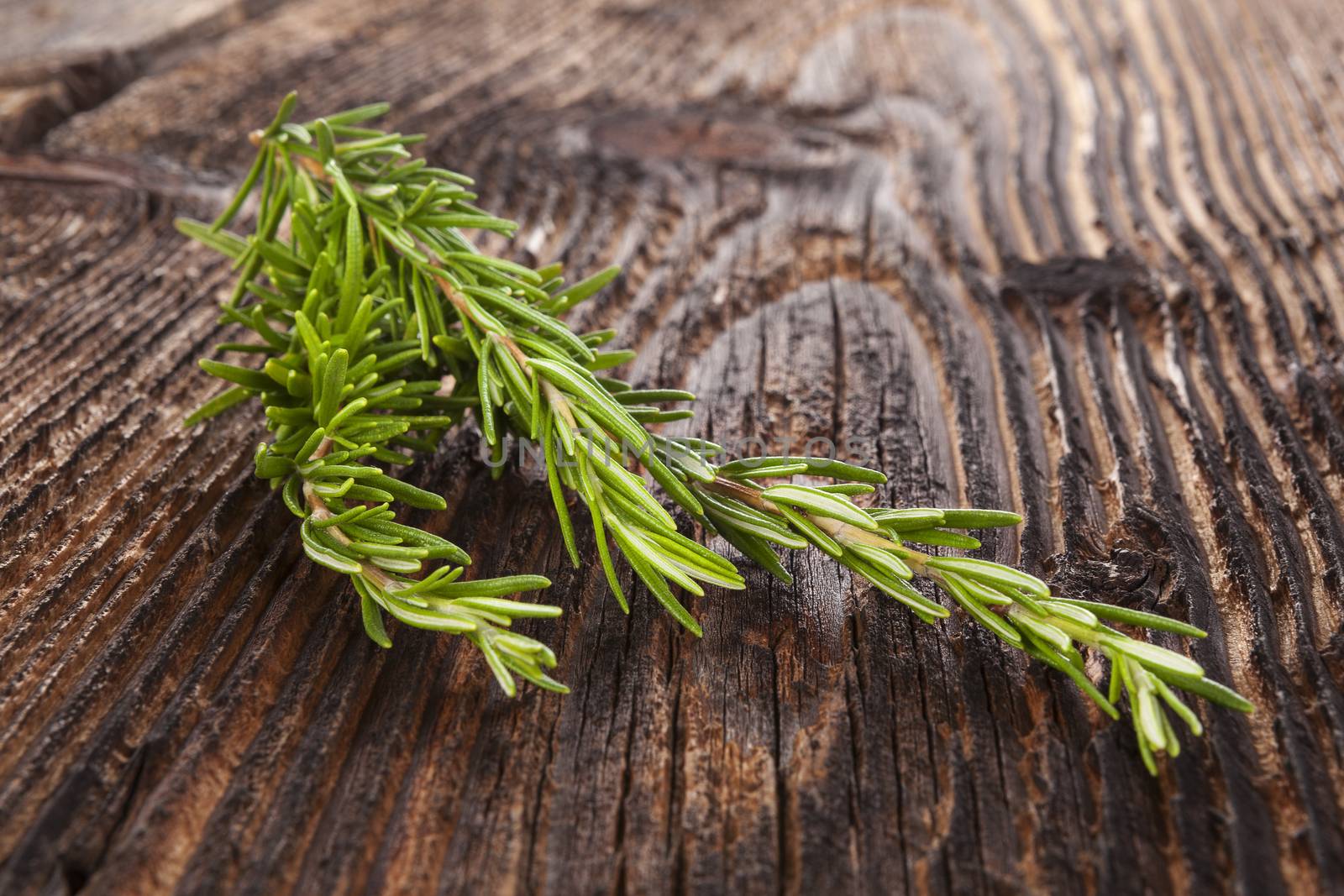 Rosemary on wooden table. by eskymaks