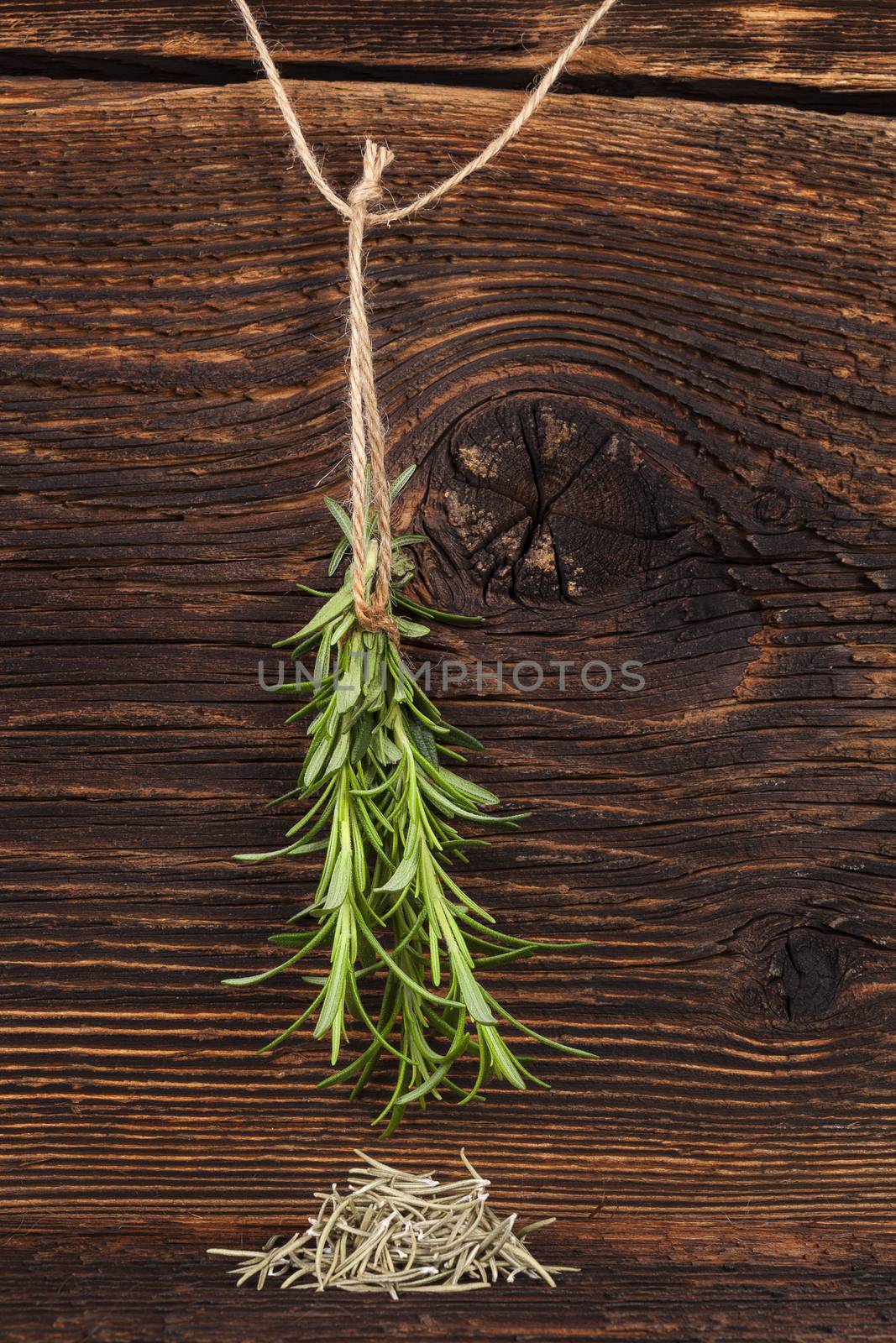 Fresh and dry rosemary herb. by eskymaks