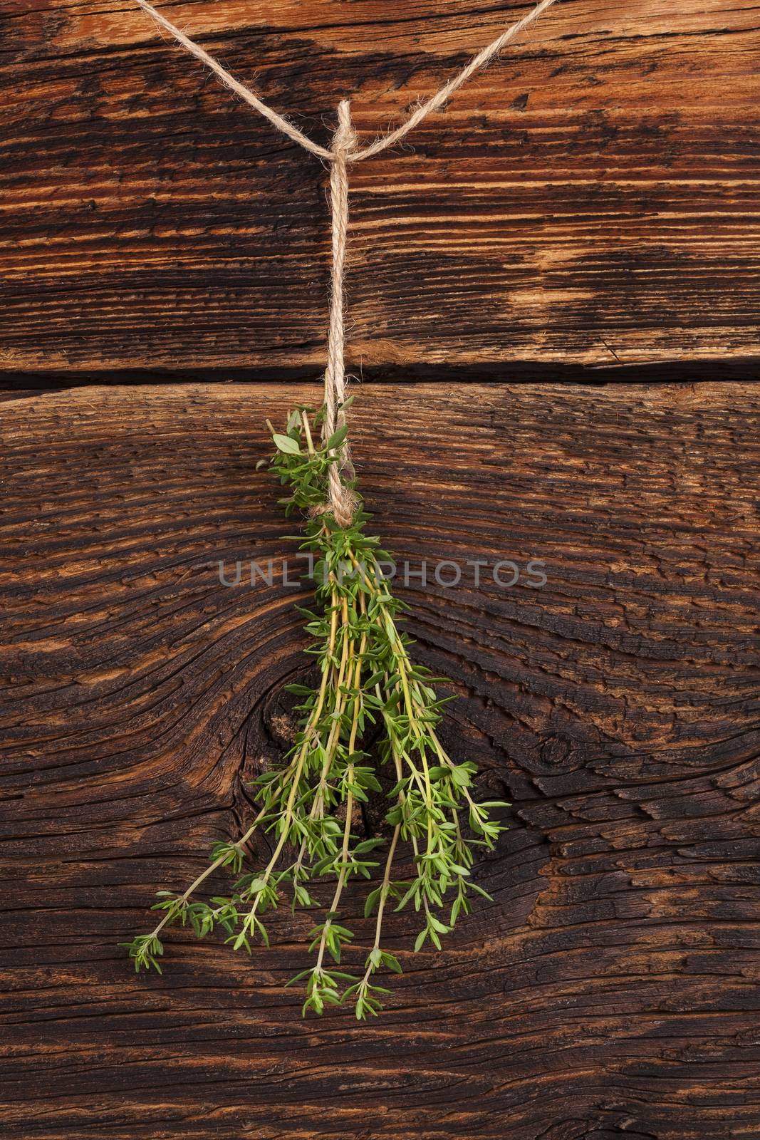 Fresh thyme hanging on rustic wooden background. Culinary aromatic herbs.