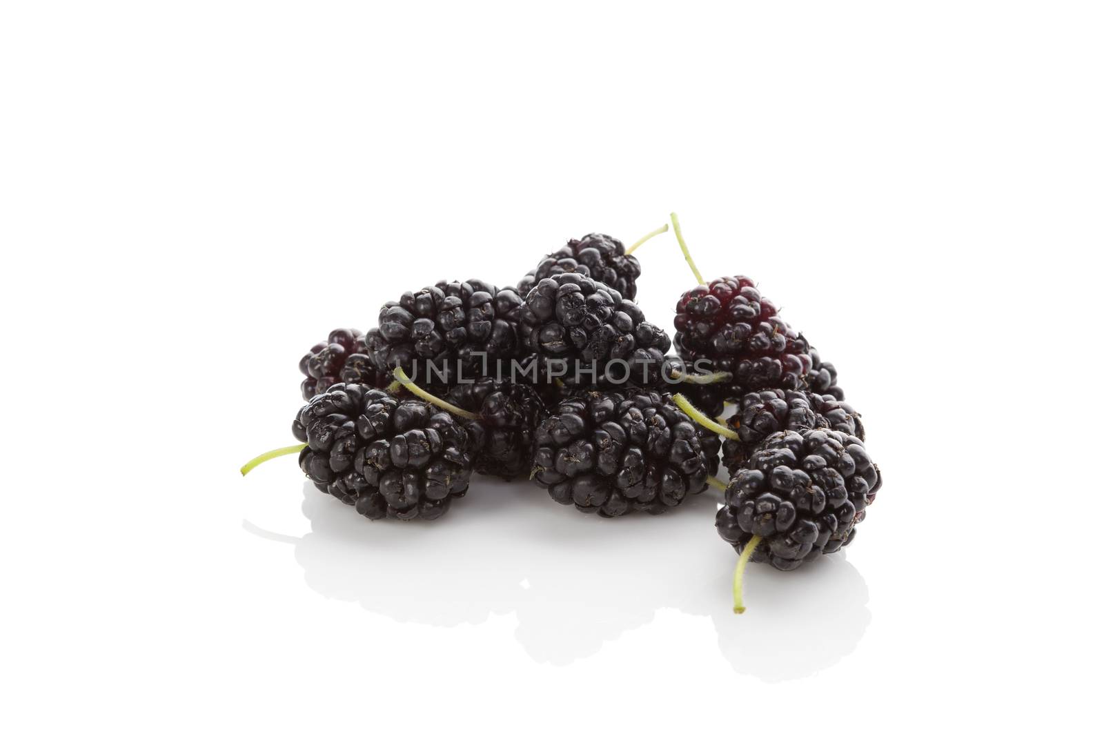 Mulberry fruit isolated on white background with reflection. Healthy summer fruit eating. Morus fruit.