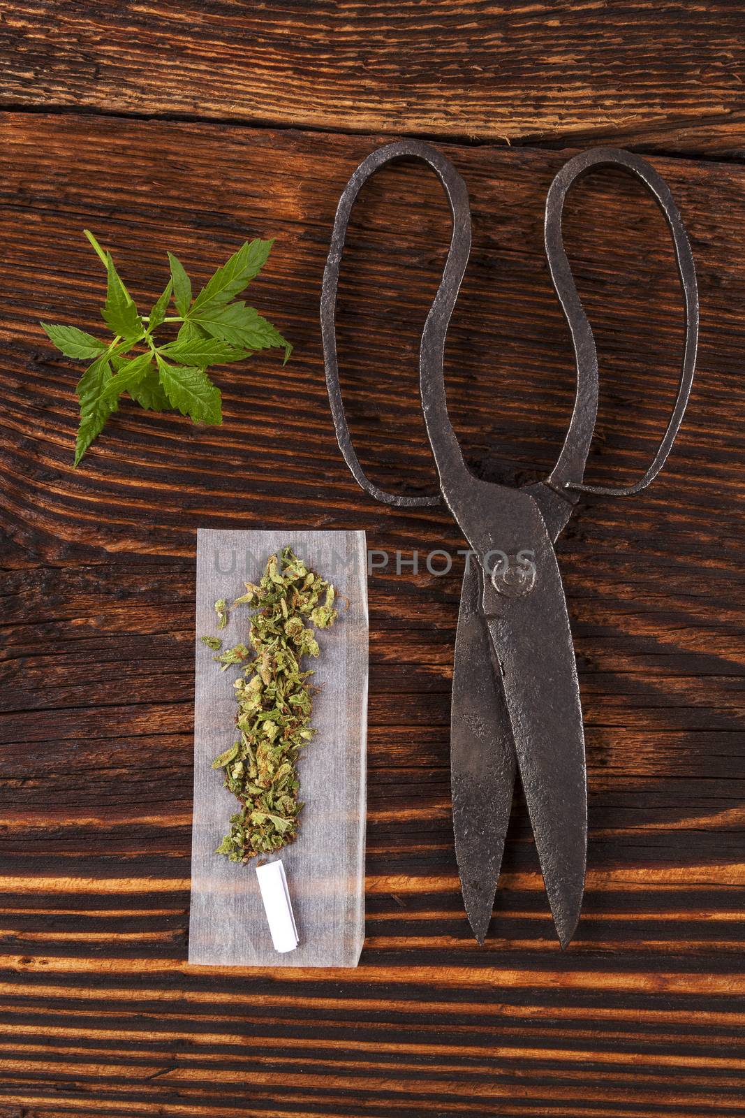 Marijuana abuse. Cannabis bud, joints, rolling paper on wooden textured background. 