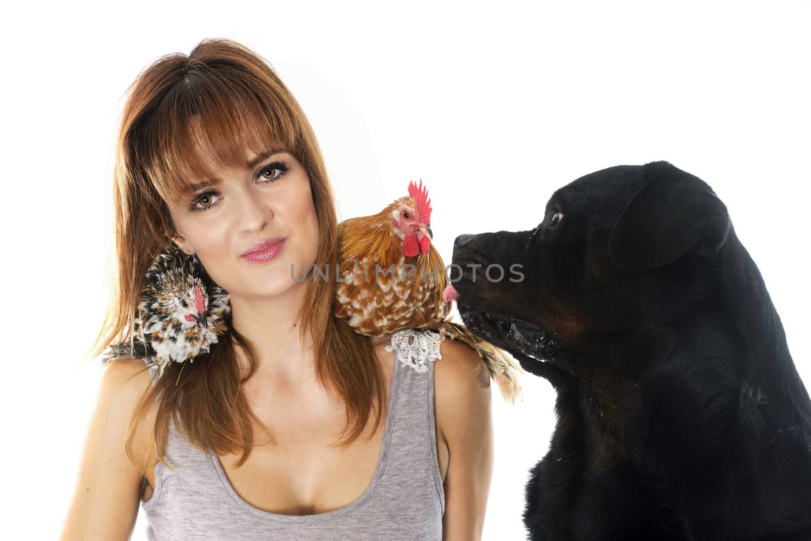 young woman, dog and chicken in front of white background