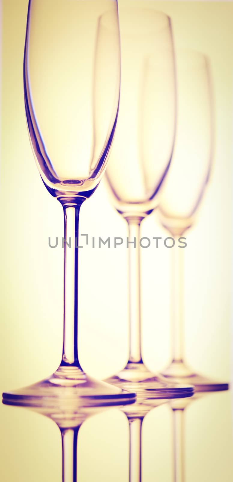 Tree Elegant Tall Wineglass for Champagne, Instagram Effect