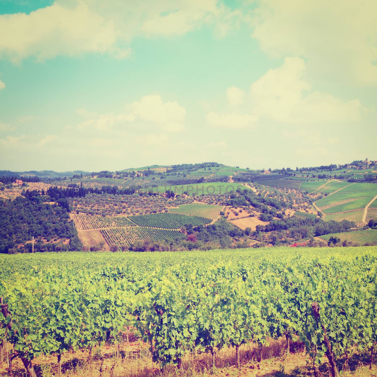  Vineyard in the Chianti Region, Instagram Effect