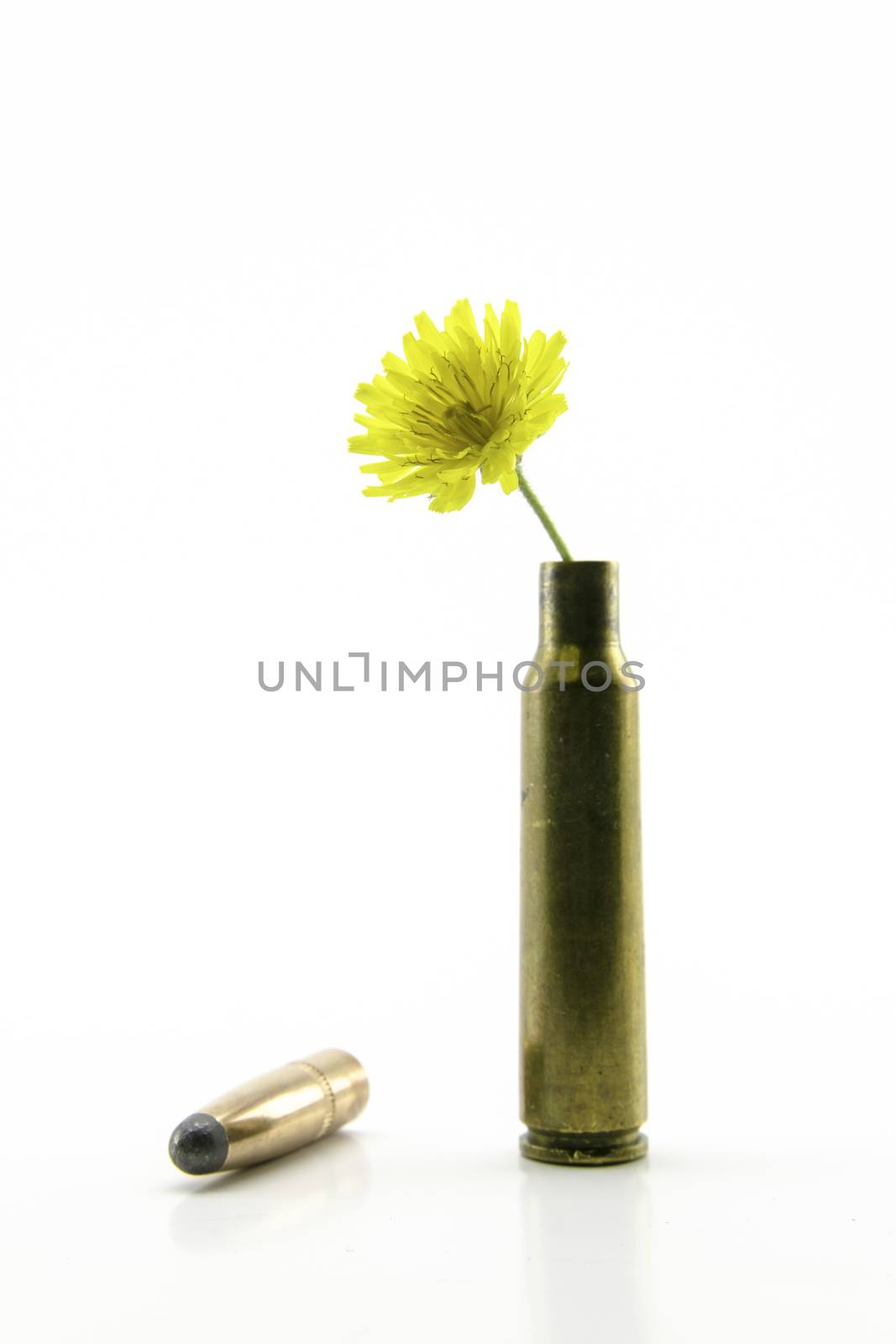 shotgun shell with yellow little flower by Isaac74