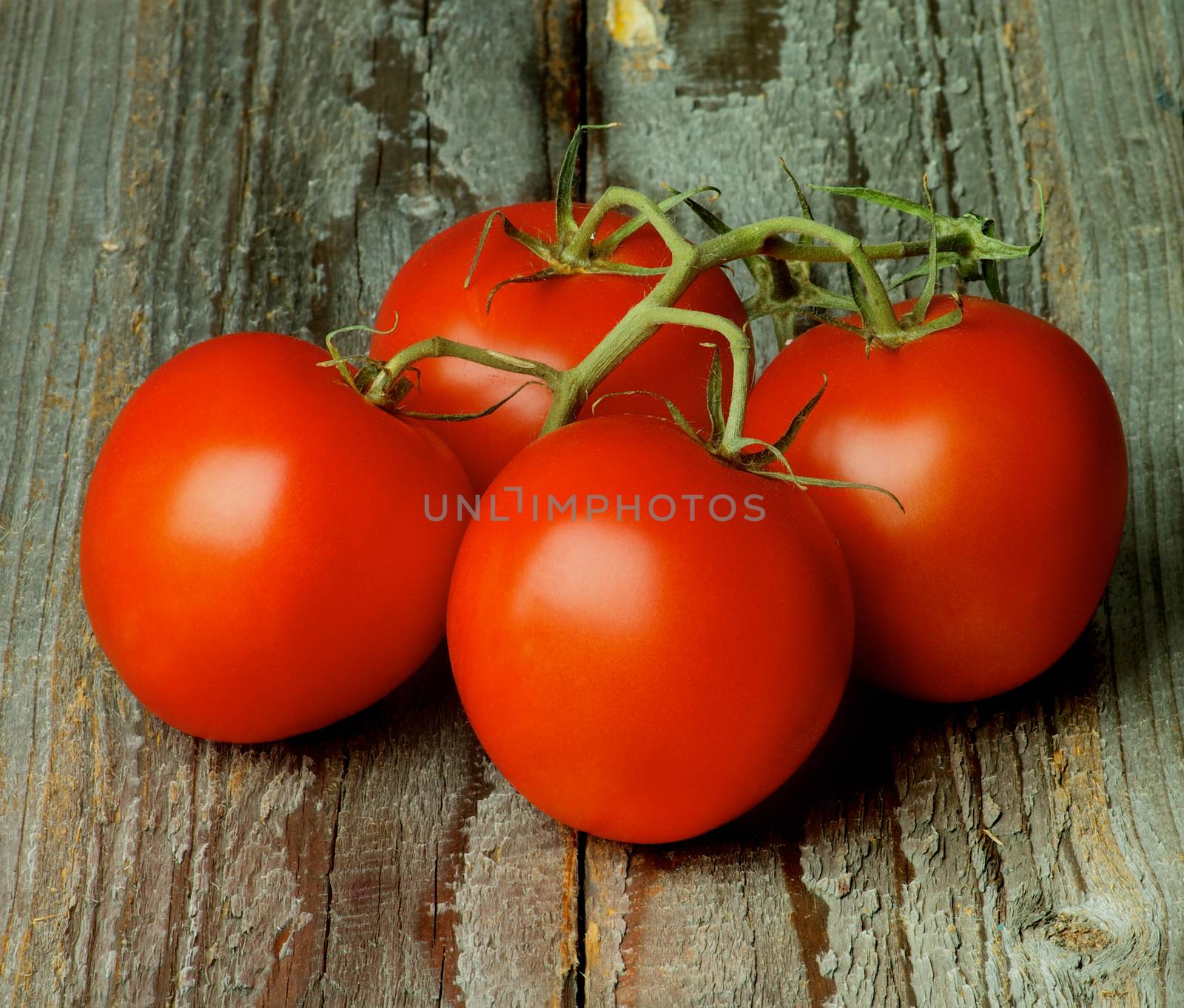 Perfect Ripe Raw Grape Tomatoes with Stems and Twigs isolated on Rustic Wooden background