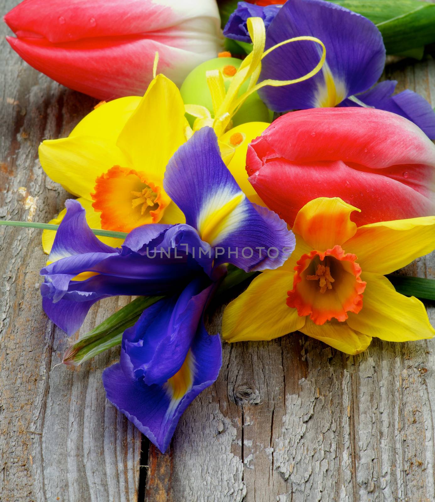 Arrangement of Yellow Daffodils, Magenta Tulips, Purple Irises with Yellow and Green Spotted Easter Eggs closeup on Rustic Wooden background