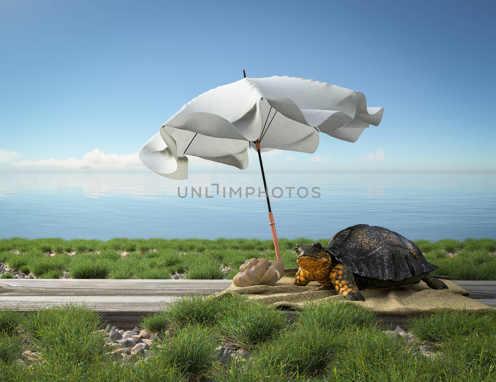 Small green turtle on the beach. Tourism concept vacation background