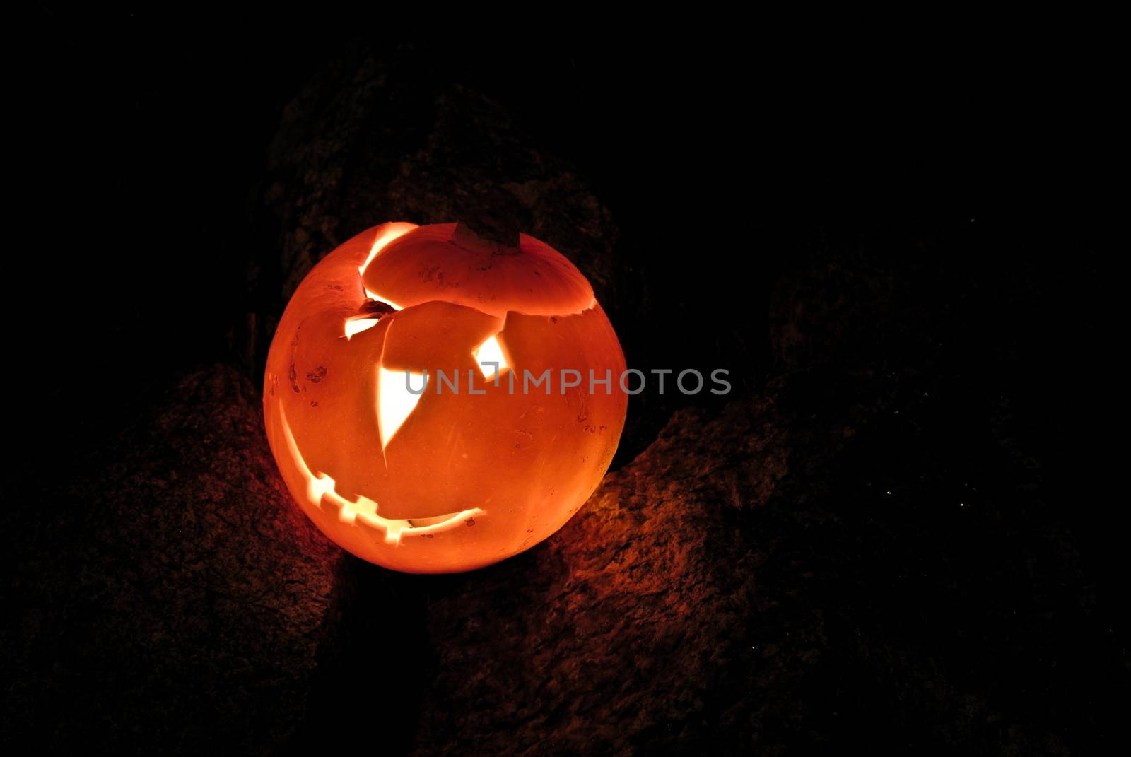 Halloween pumpkin by info@krzysztofpiotrowicz.com