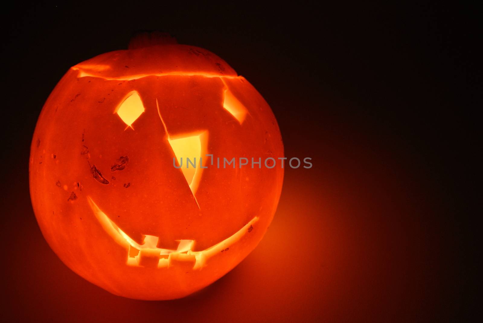 Halloween pumpkin by info@krzysztofpiotrowicz.com