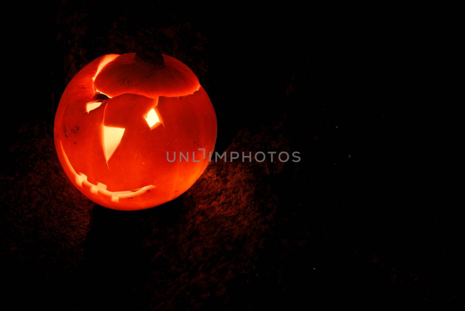 Halloween pumpkin by info@krzysztofpiotrowicz.com