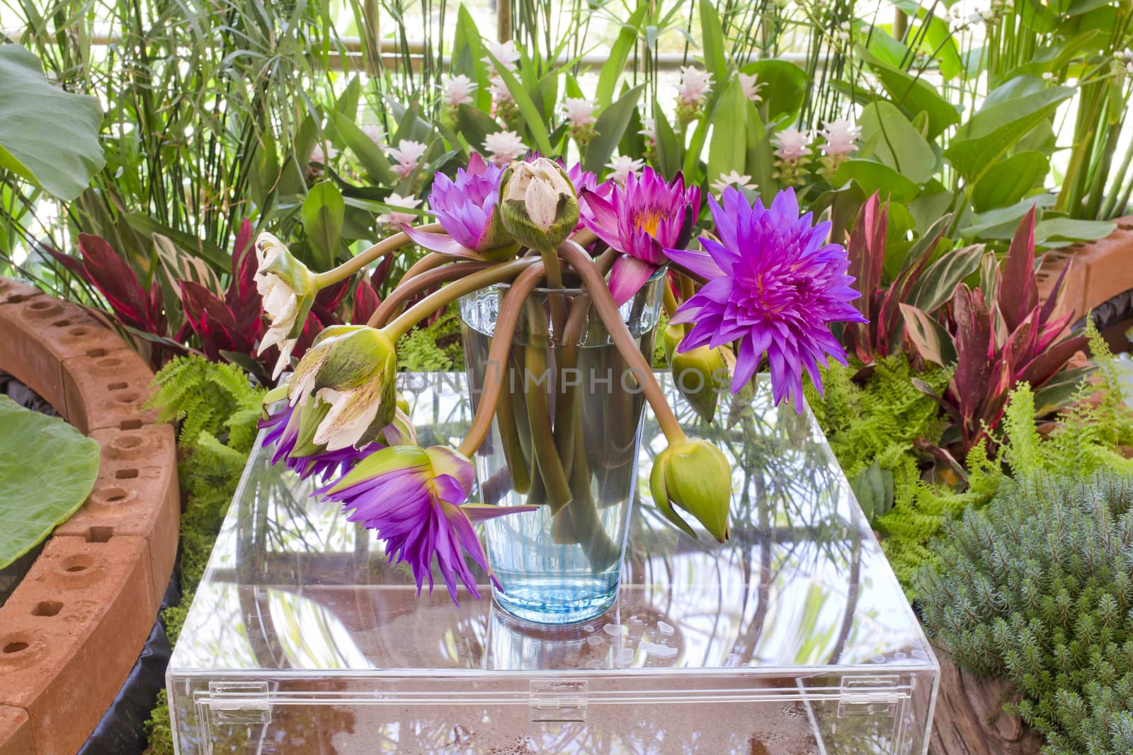 Floristry Pink and purple lotus flowers in glass vase.
