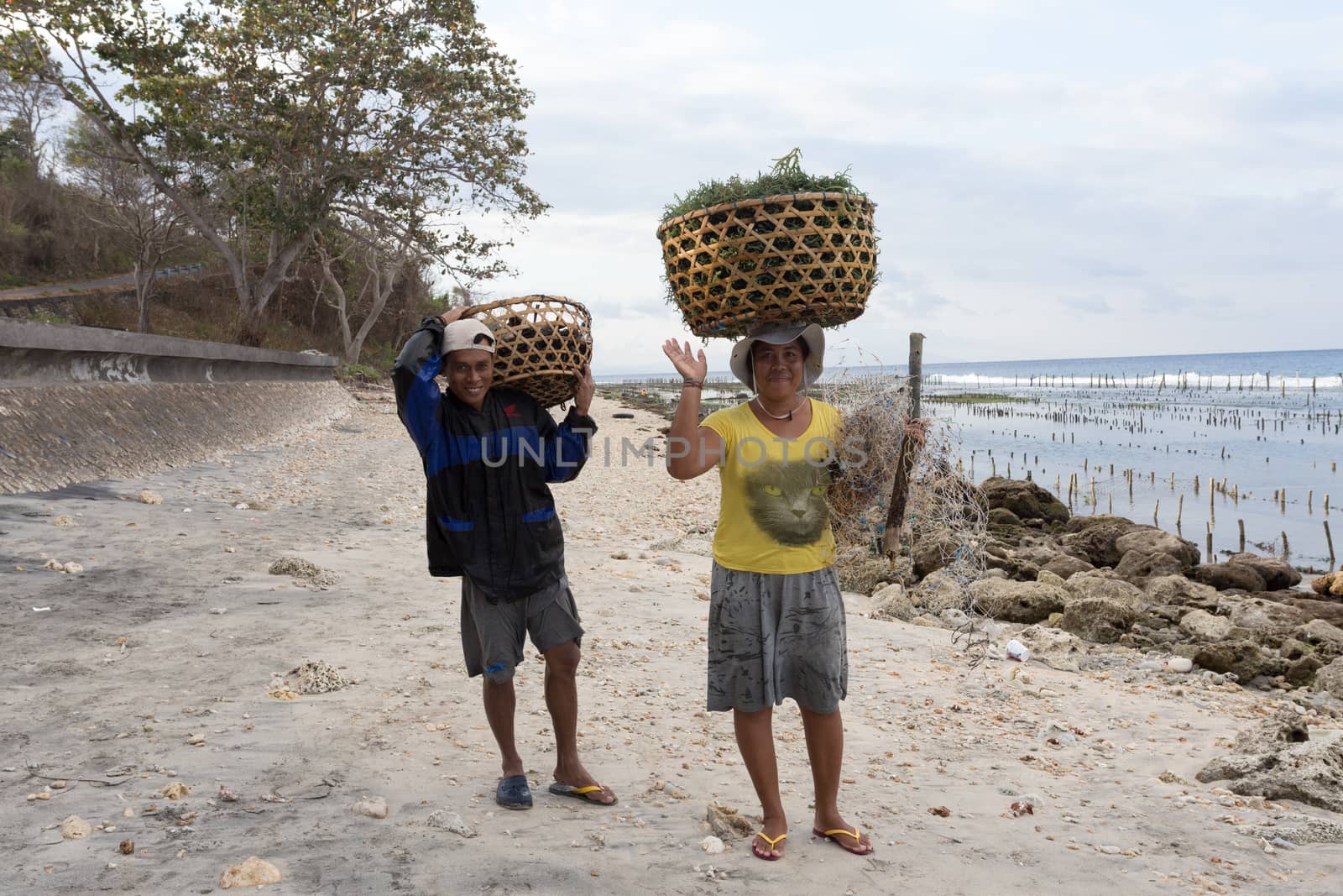 BALI, NUSA PENIDA ISLAND, INDONESIA - JULY 28.2015: Unidentified balinese indonesian woman transport basket with seaweed. Nusa Penida July 27. 2015 Indonesia