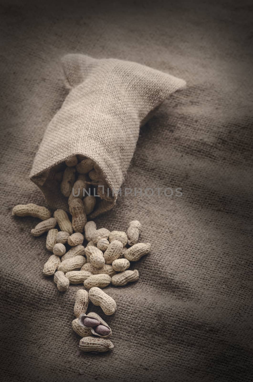 Roasted peanuts on sackcloth background by pixbox77