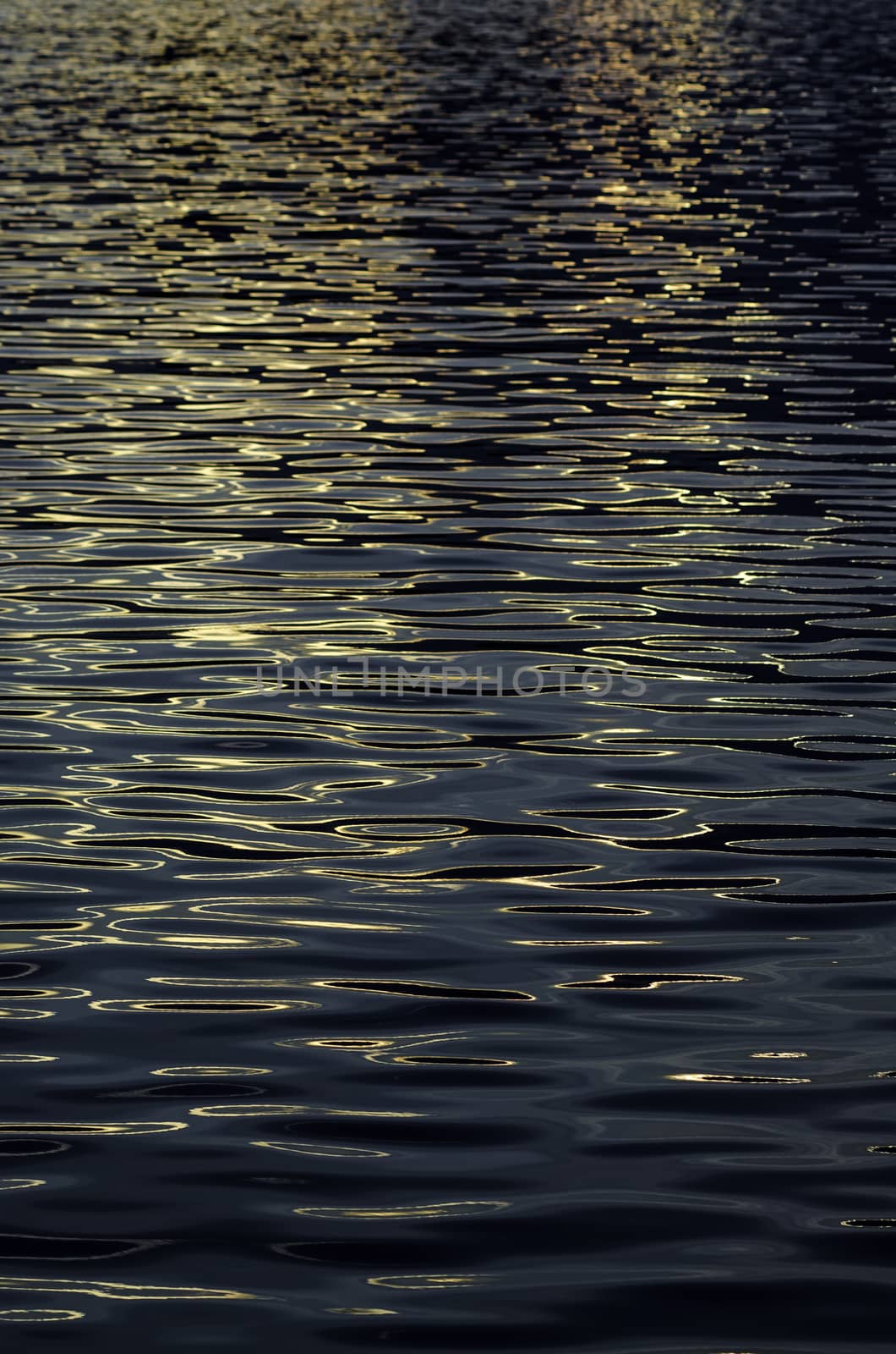 Sea wave reflected with sunset light, Abstract background