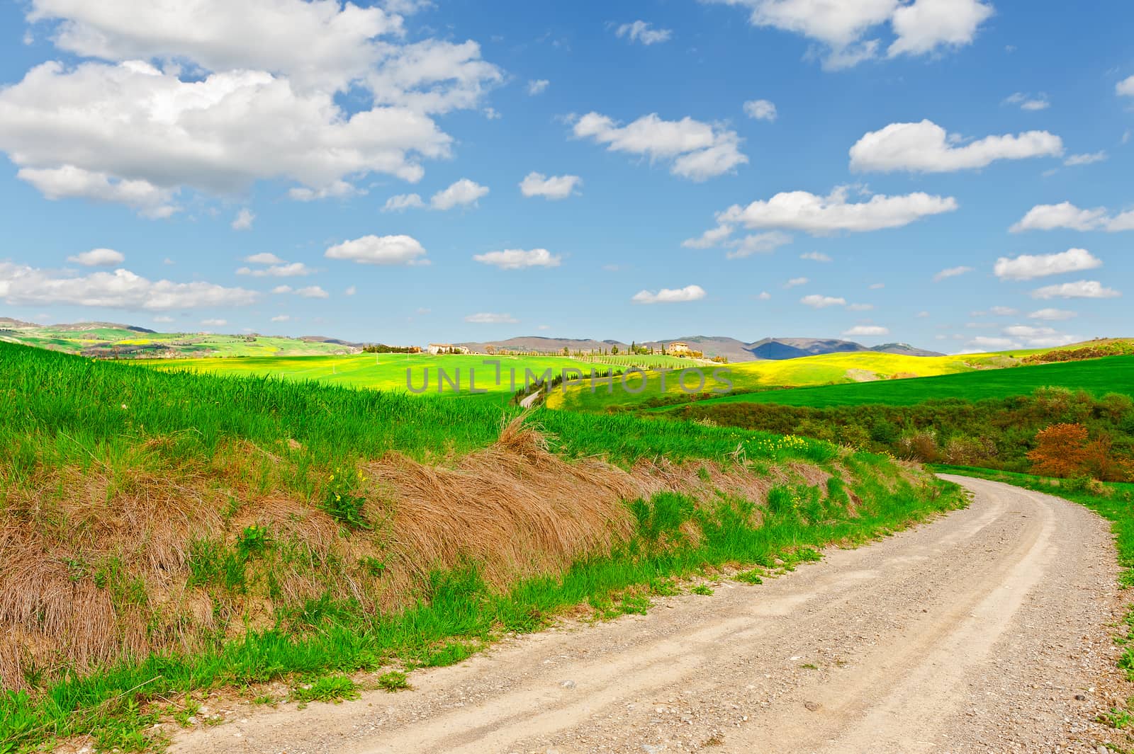 Dirt Road Leading to the Farmhouse in Tuscany, Italy