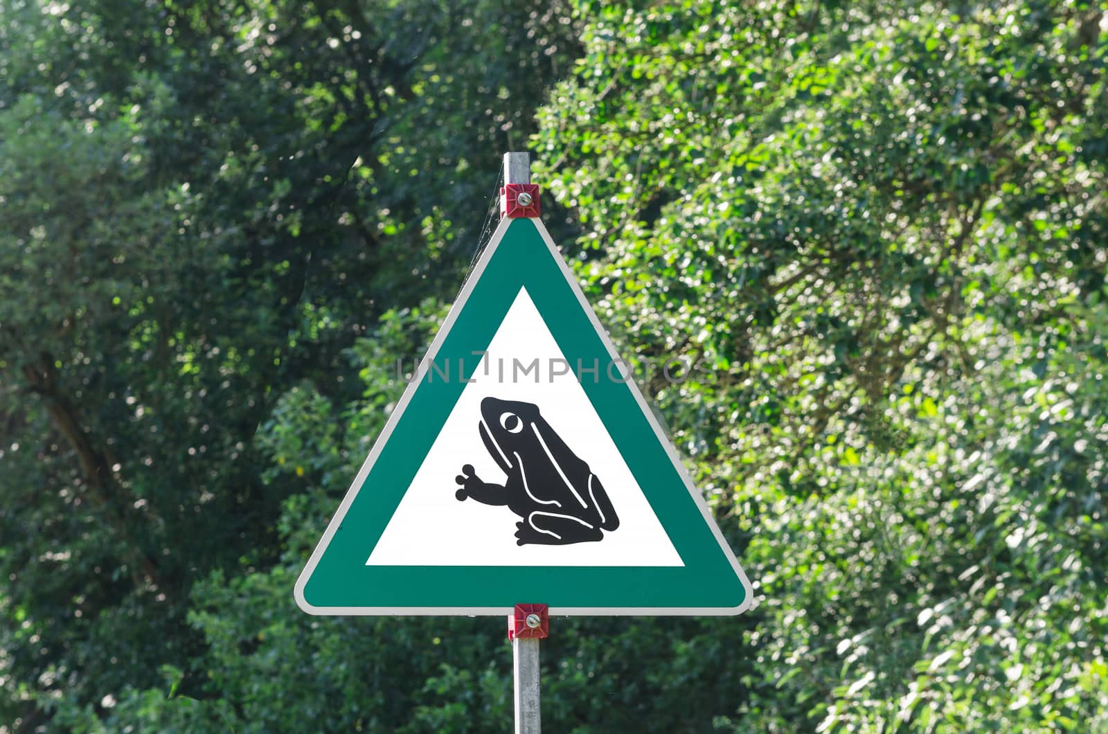 Sign frog alert Toad Walk, danger crossing frogs by a road.