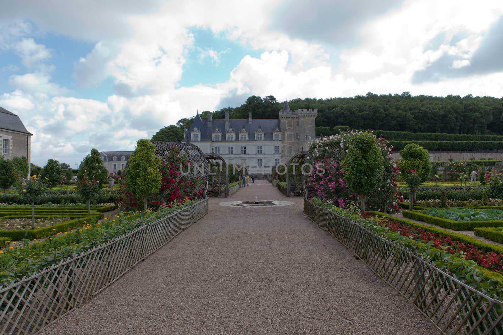 Gardens and Chateau de Villandry  in  Loire Valley in France 