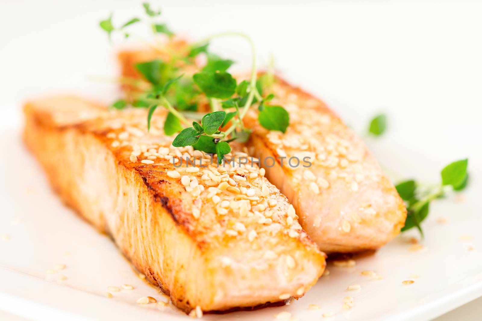 Grilled salmon, sesame seeds  and marjoram on white plate. Studio shot