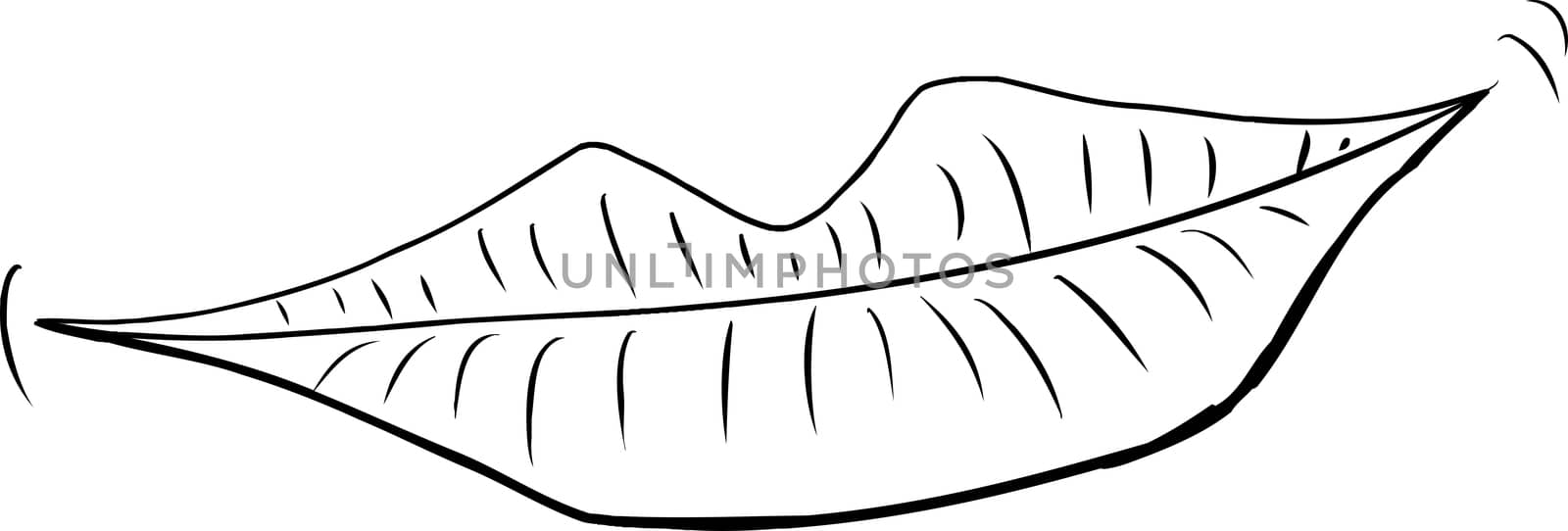 Outlined pair of grinning human lips over white background