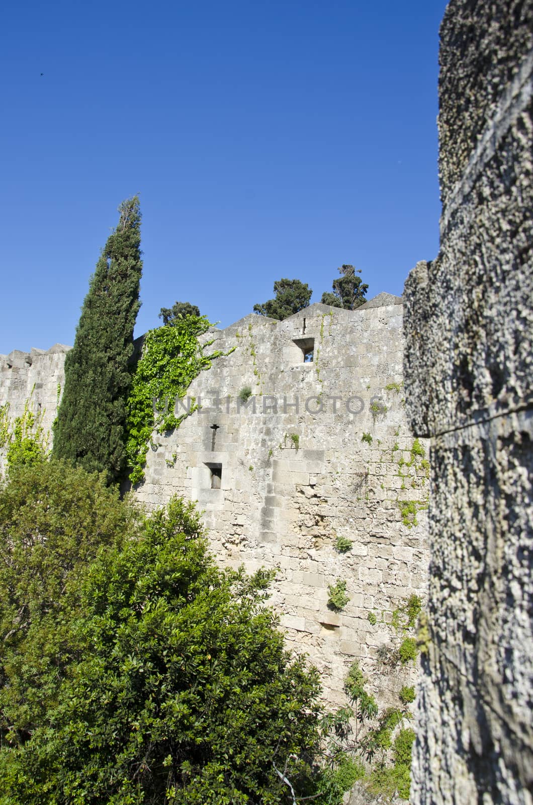 Medieval Rhodes city  wall in Greece with trees growing