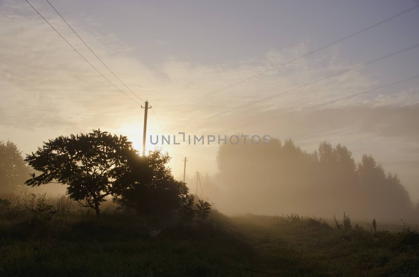 Sun rising through the fog on rural landscape with an electricity pole