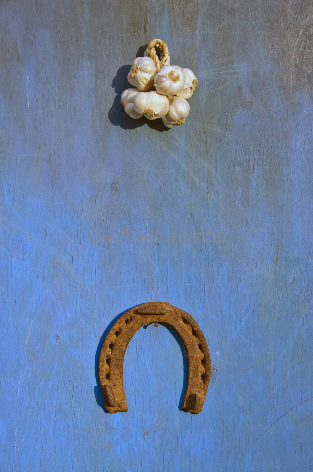 Sunlit bunch of garlic and luck symbol horseshoe on blue wooden background